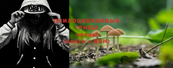 мет Гусиноозёрск