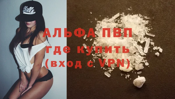 эйфоретик Гусев