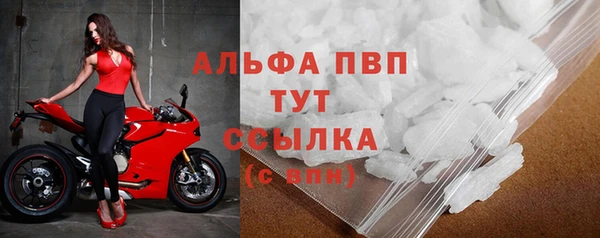 эйфоретик Гусев